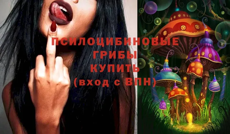 что такое   hydra tor  Псилоцибиновые грибы ЛСД  Куса 